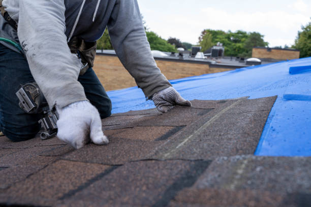 Best Roof Leak Repair  in Steubenville, OH